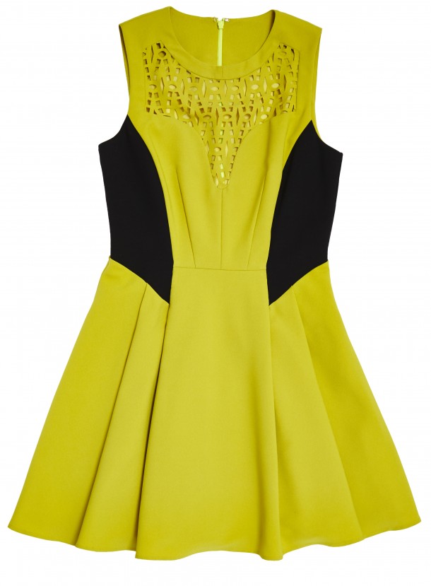 ASOS CURVE skater dress with cutwork £45